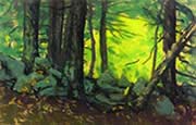 Stone Wall with Woods